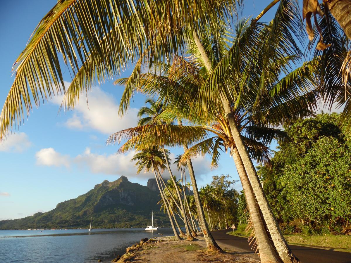 Village Temanuata Bora Bora Exterior foto